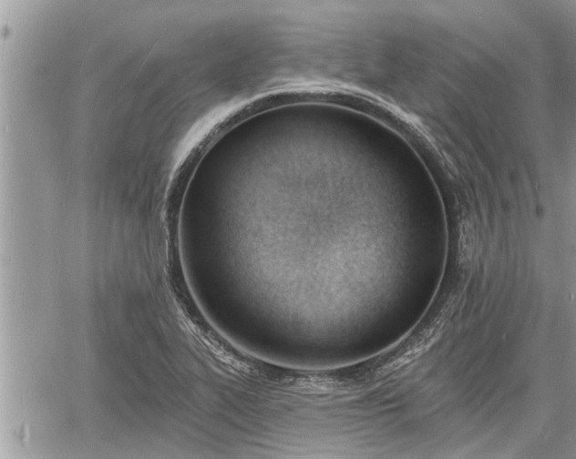 X0000060741319200511171047