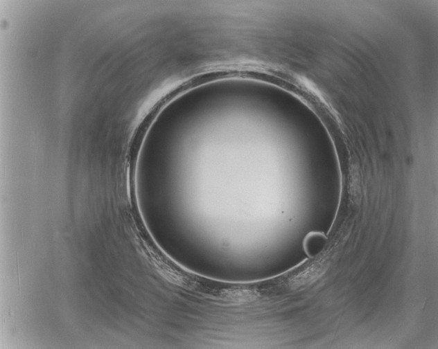 X0000060741320200511171047