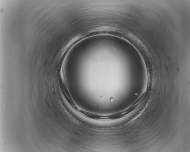 X0000060741321200511171047