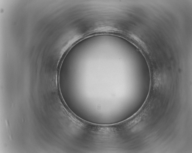 X0000060741322200511171047