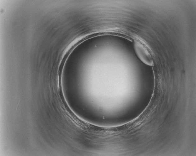 X0000060741324200511171047