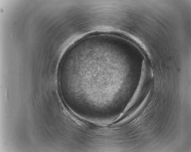 X0000060741327200511171047