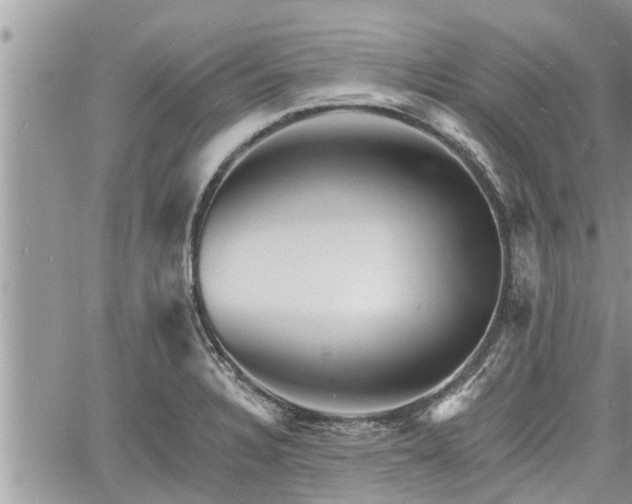 X0000060741328200511171047