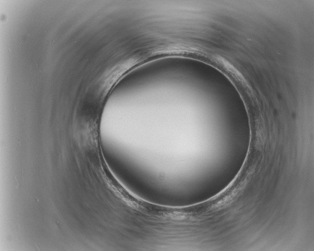 X0000060741329200511171047