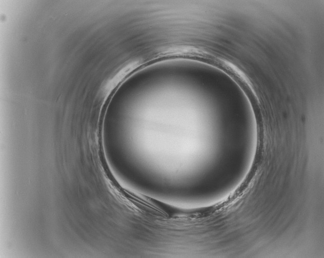 X0000060741330200511171047