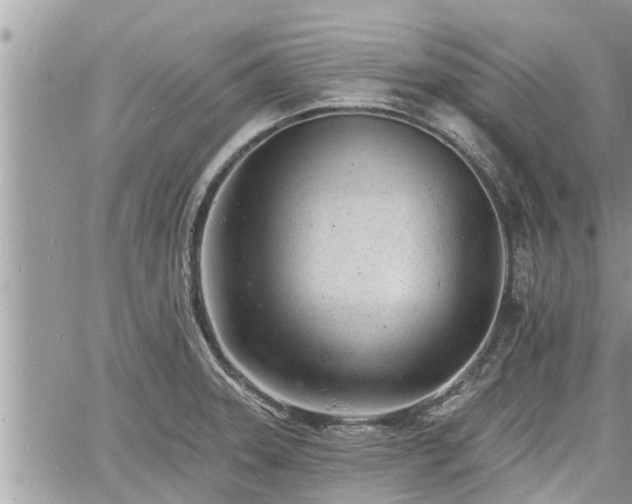 X0000060741331200511171047