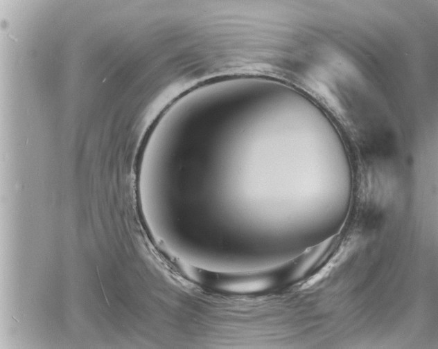 X0000060741332200511171047