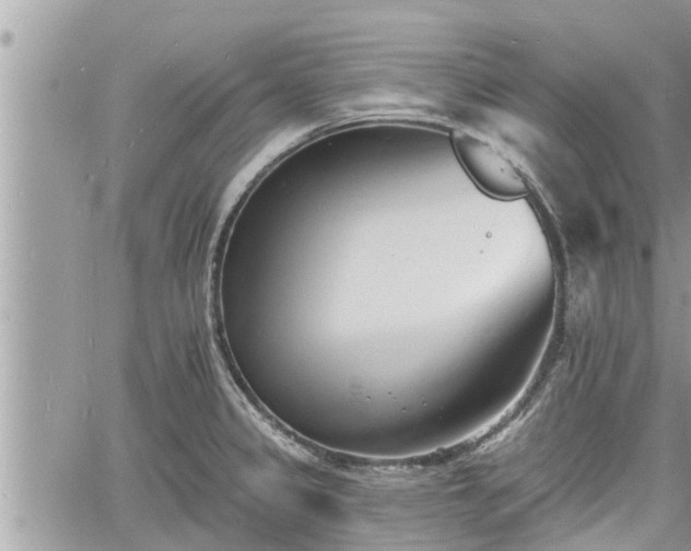 X0000060741333200511171047