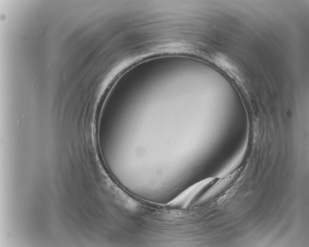 X0000060741334200511171047