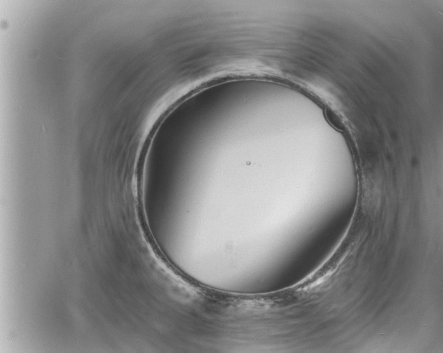 X0000060741335200511171047