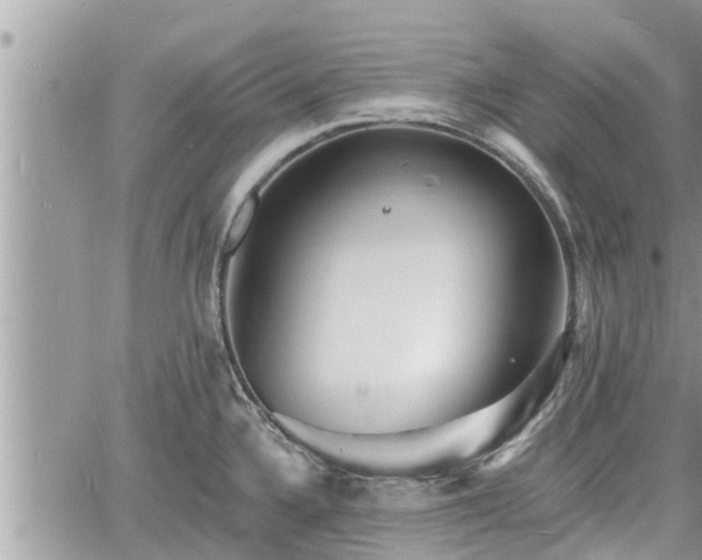 X0000060741336200511171047