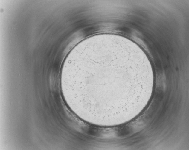 X0000060741338200511171047