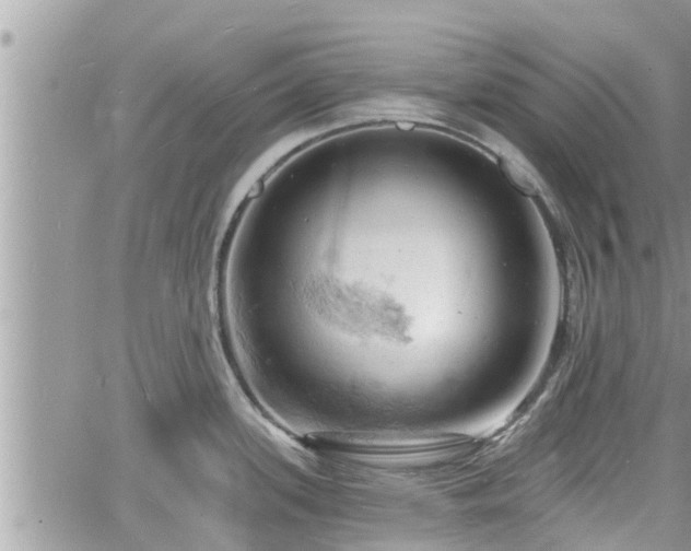 X0000060741339200511171047