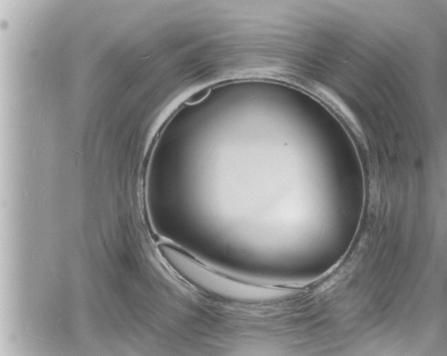 X0000060741340200511171047