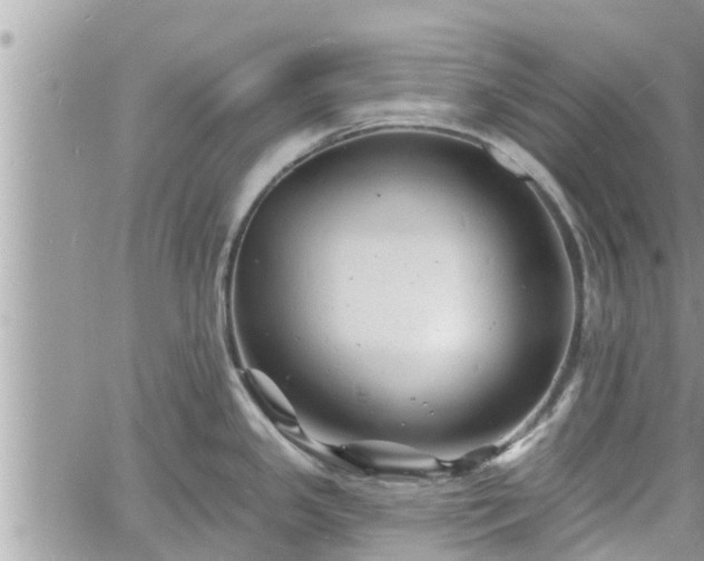 X0000060741341200511171047