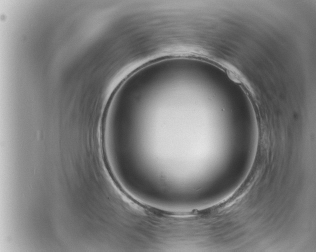 X0000060741343200511171047