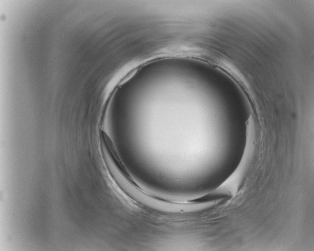 X0000060741344200511171047