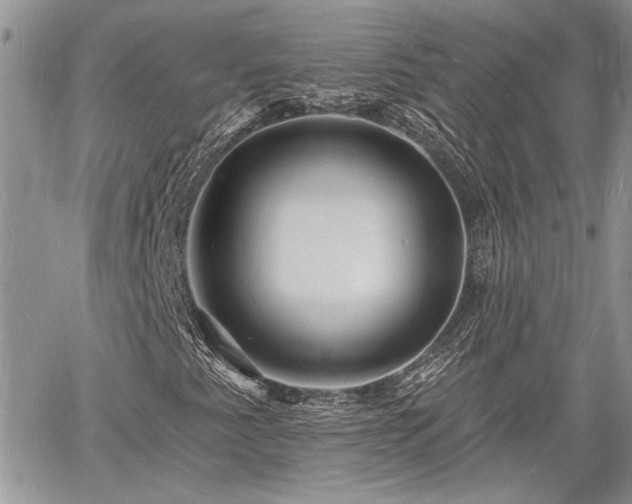 X0000060741345200511171047