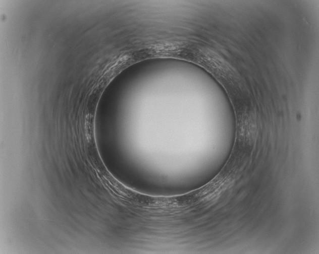 X0000060741346200511171047