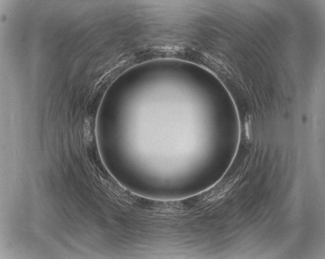 X0000060741347200511171047