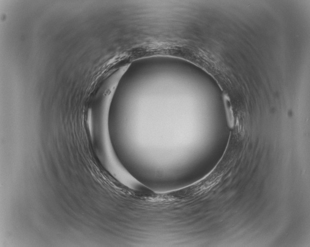 X0000060741348200511171047