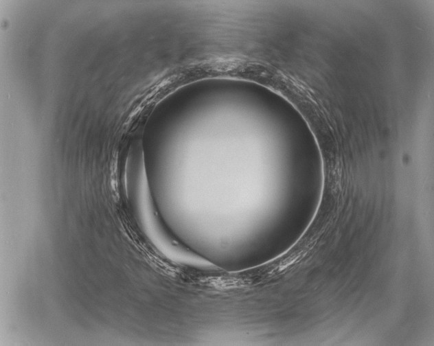 X0000060741349200511171047