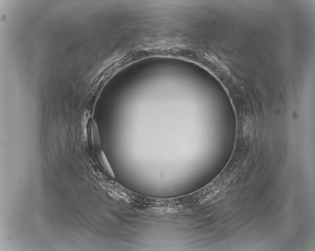 X0000060741350200511171047