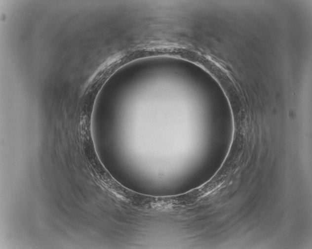 X0000060741351200511171047