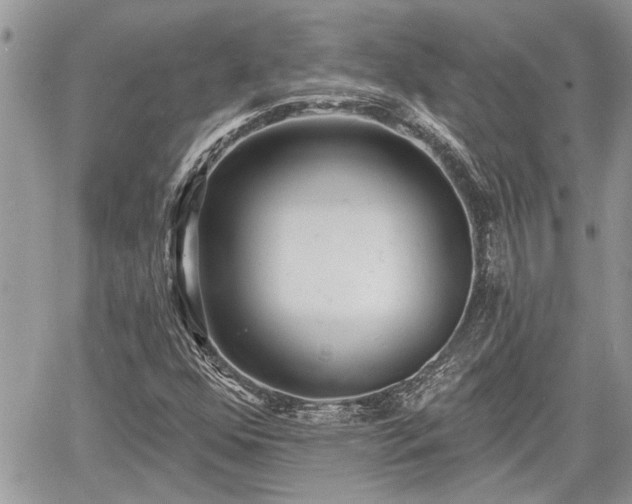 X0000060741352200511171047