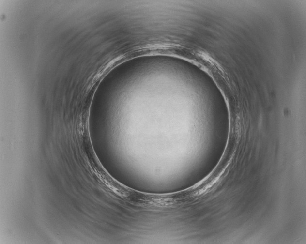 X0000060741353200511171047