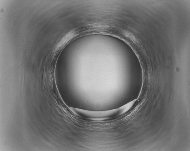 X0000060741354200511171047