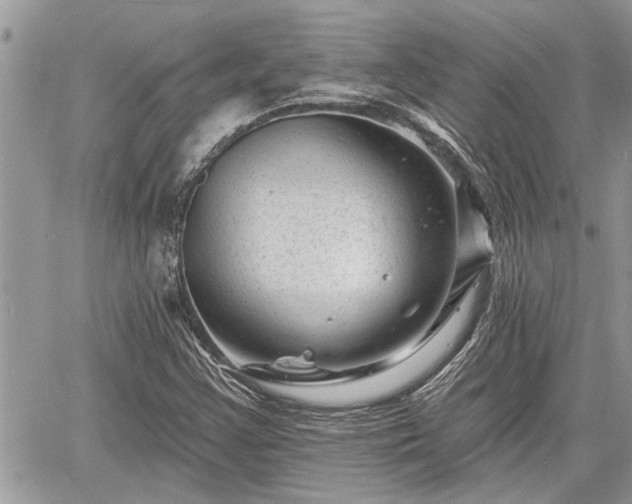 X0000060741355200511171047