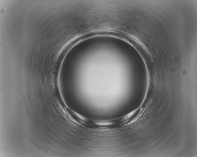 X0000060741356200511171046