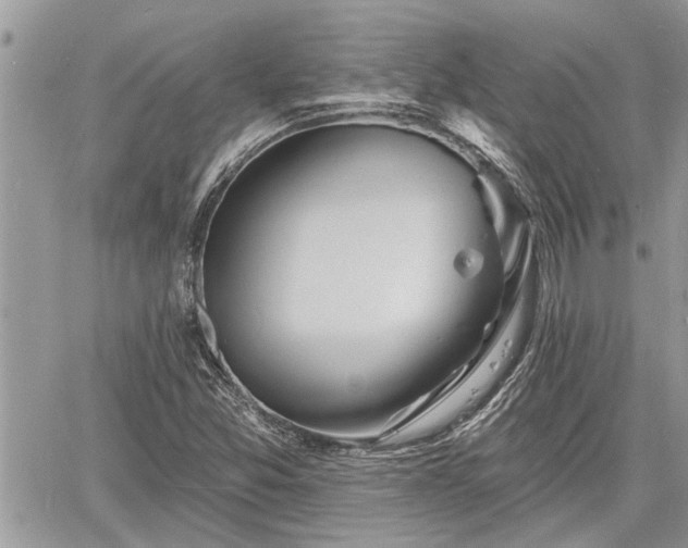 X0000060741357200511171046