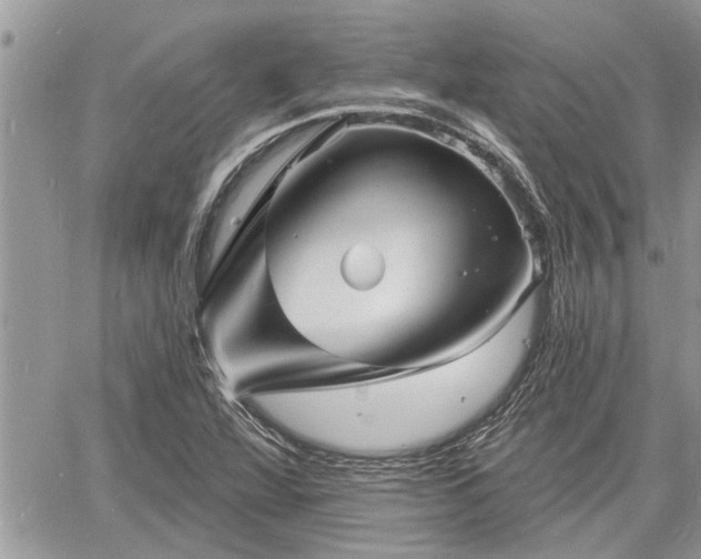 X0000060741360200511171046