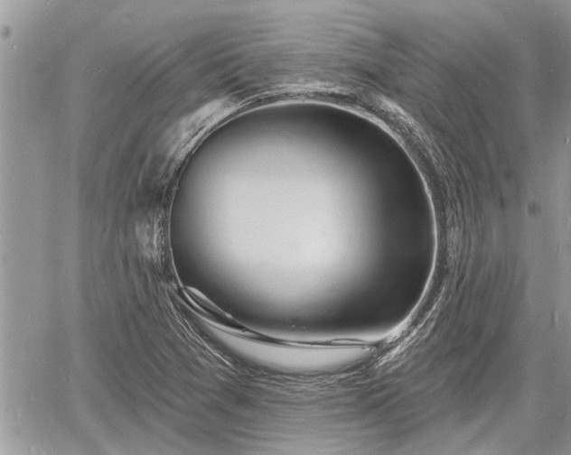 X0000060741361200511171046