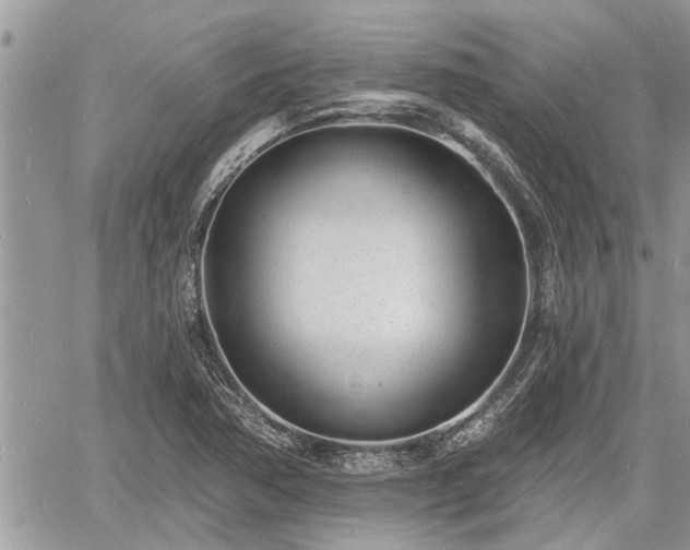 X0000060741362200511171046