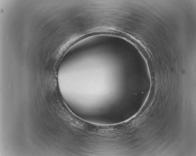 X0000060741363200511171046