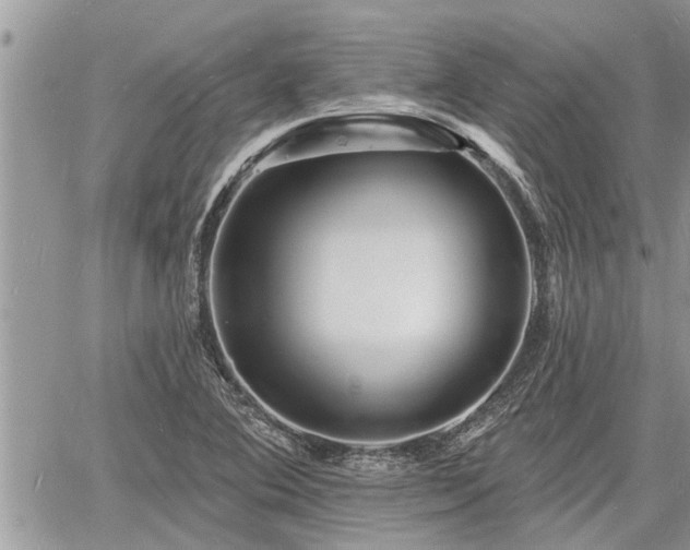 X0000060741364200511171046