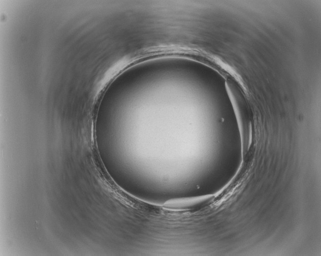 X0000060741365200511171046