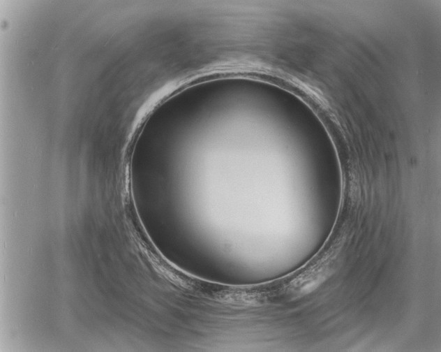 X0000060741366200511171046