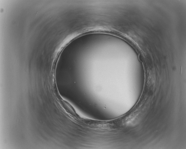 X0000060741367200511171046