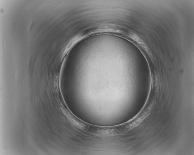 X0000060741369200511171046