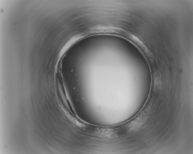 X0000060741370200511171046