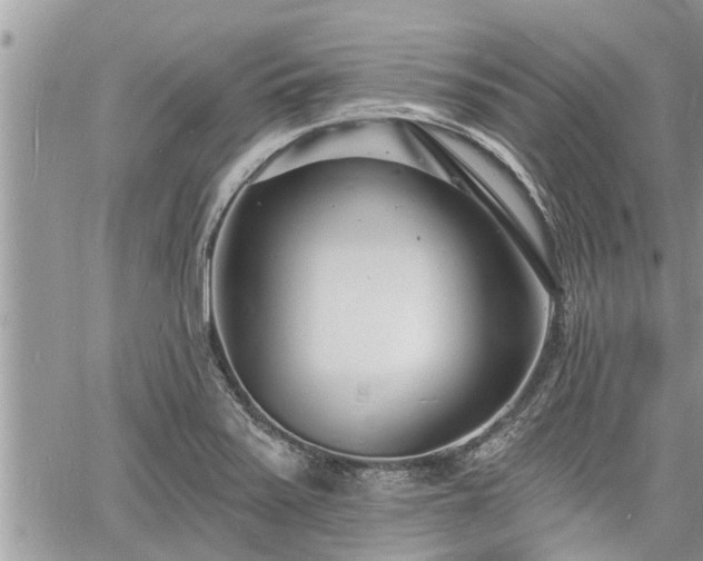 X0000060741371200511171046