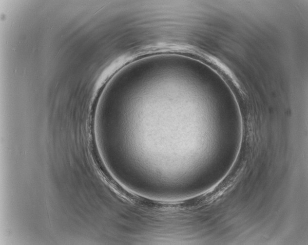 X0000060741373200511171046