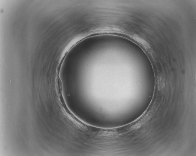 X0000060741374200511171046