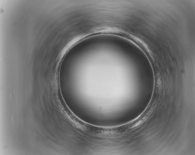 X0000060741375200511171046