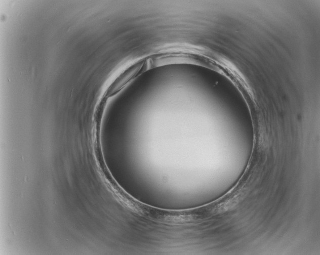 X0000060741376200511171046