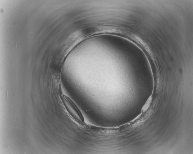 X0000060741377200511171046